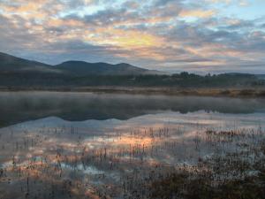 Dobro jutro__ Andrej Udovič